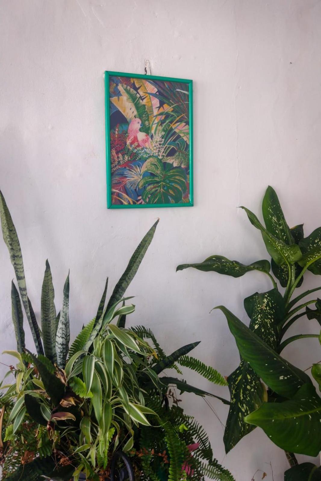 Hostel Residence Girassol Belem  Ngoại thất bức ảnh